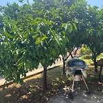 Appartamento Maestro *