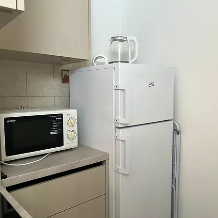 Apartment Maestro Icici