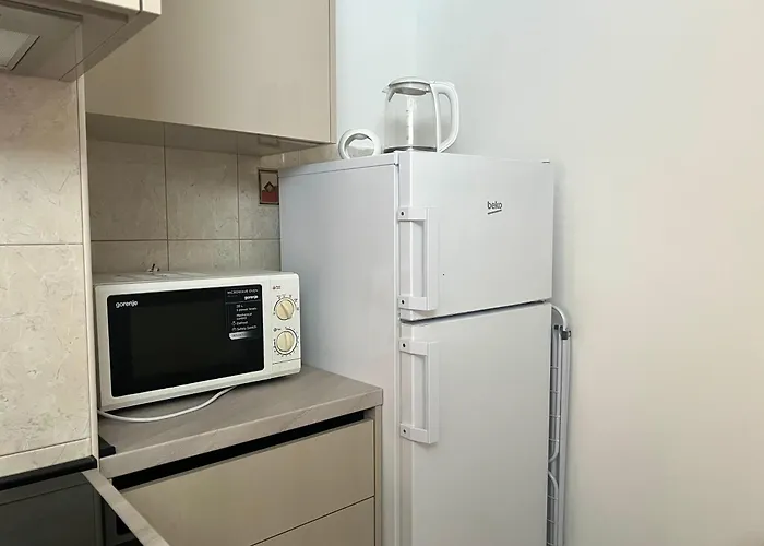 Appartamento Maestro Ičići